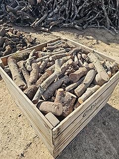 Guía para elegir la mejor leña de almendro para hornos de pizza