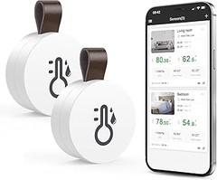 ¿Por qué deberías utilizar un termómetro inalámbrico en la cocina exterior?