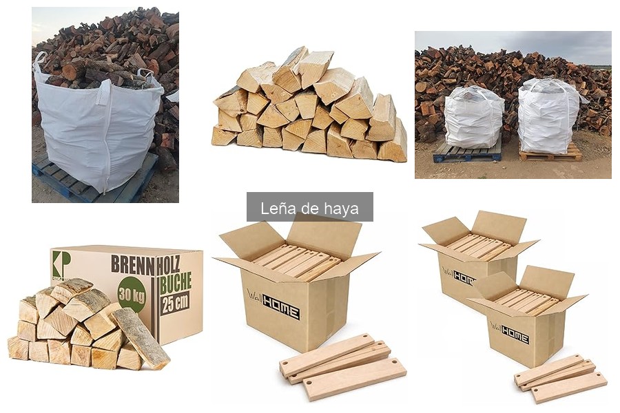 Características de la leña de haya para hornos de pizza