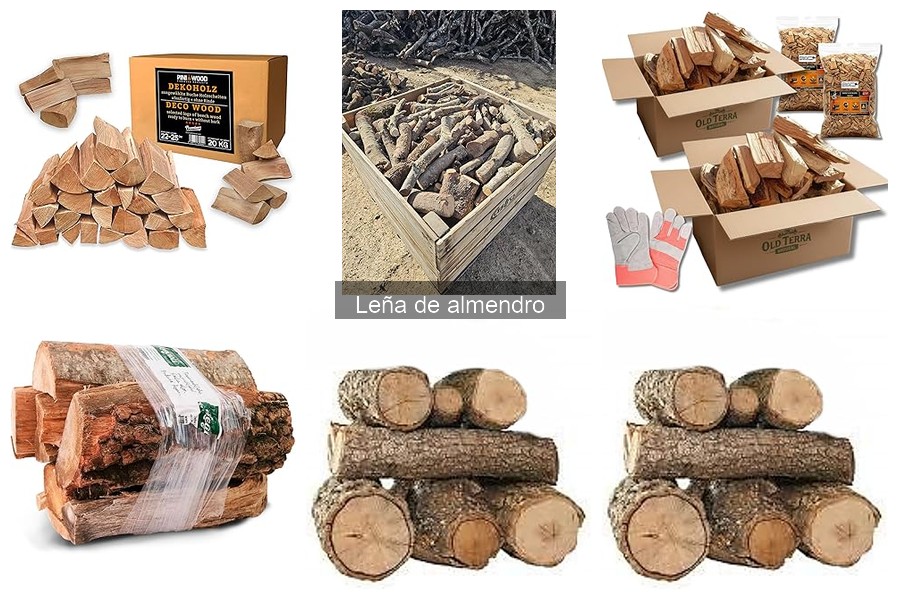 Dónde comprar leña de almendro de calidad para asar