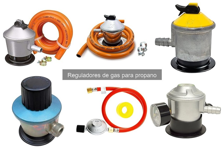 Mejores reguladores de gas para hornos de pizza en 2023
