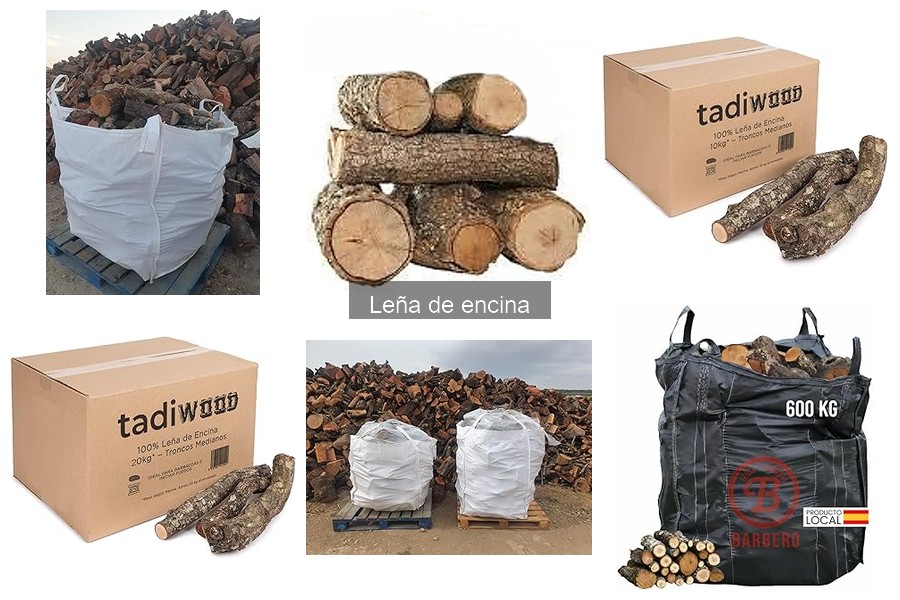 Recetas deliciosas con leña de encina para tus platos