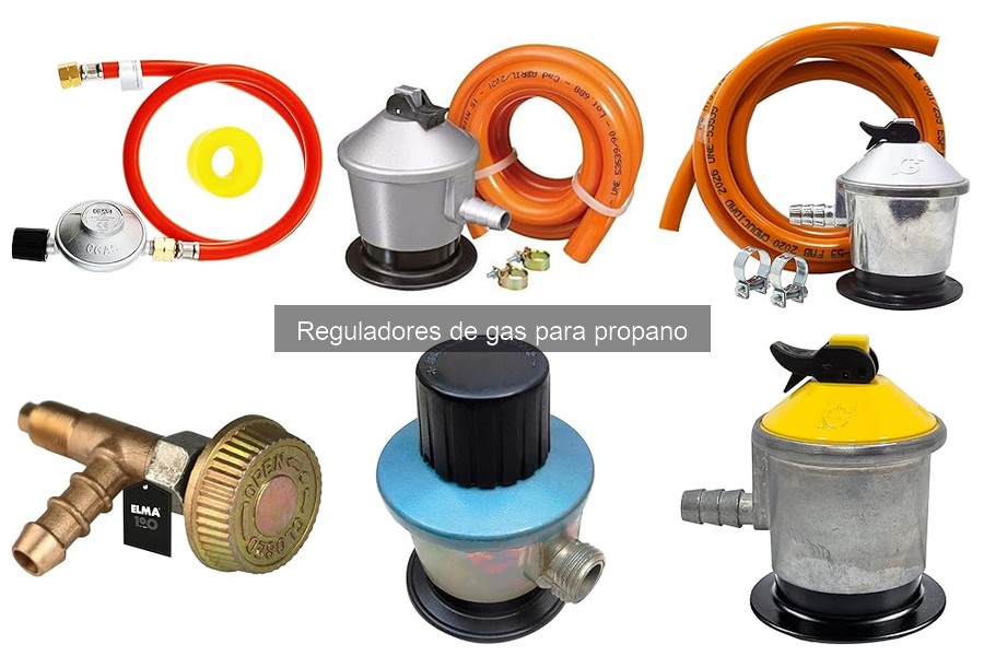 Usos Comunes de un Regulador de Gas para Propano en Cocina Exterior